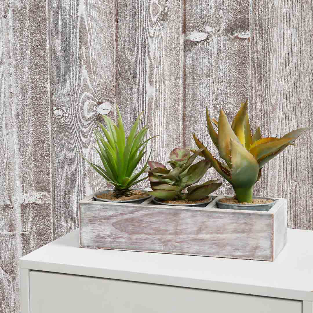 Rustic Internal Cladding For Walls & Ceilings Cappuccino (L) 2.4M (W) 120Mm (T) 12Mm Pack Of 8 Pieces (1 Bundle)