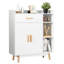 Conklin 2 - Door Standard Accent Cabinet