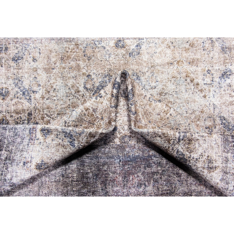 Jessiel Washable Oriental Indoor Rug, Rectangle 2' x 3'