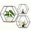 Hexagonal Floating Shelves Wall Organizer Hanging Shelf(set of 3)