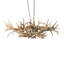 10 - Light Chandelier