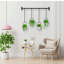 Agiato Hanging Planter