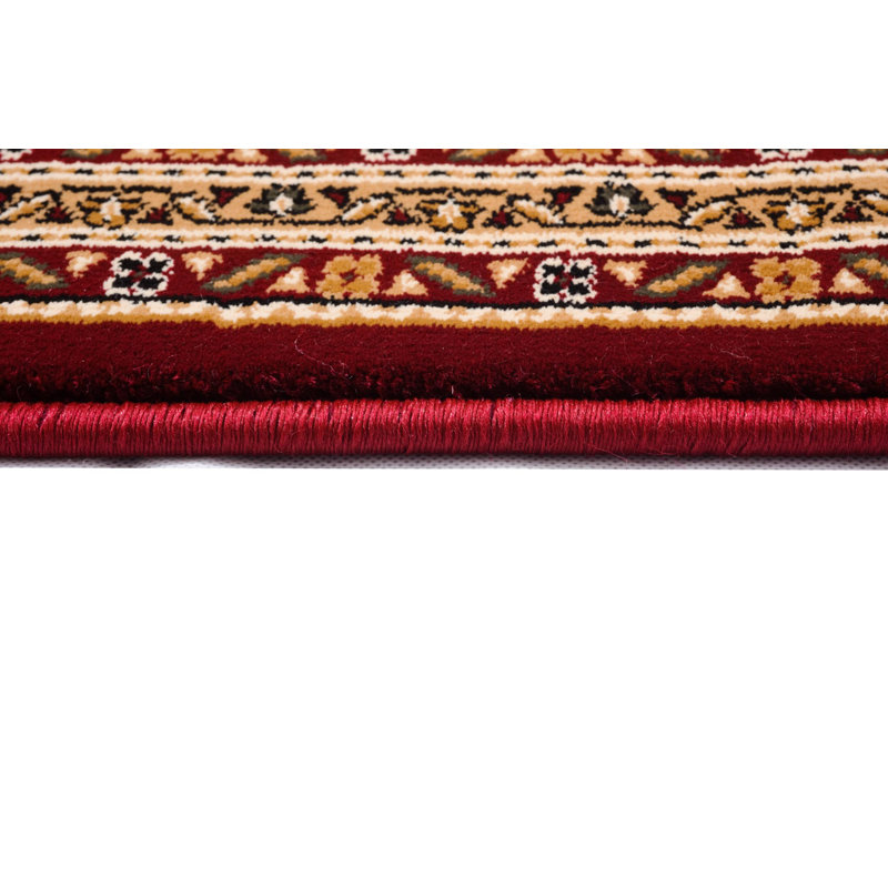 Tapis intérieur / extérieur rouge / beige 4 pi x 6 pi (3 pi 9 po x 5 pi 6 po) à motif de médaillon persan Faris