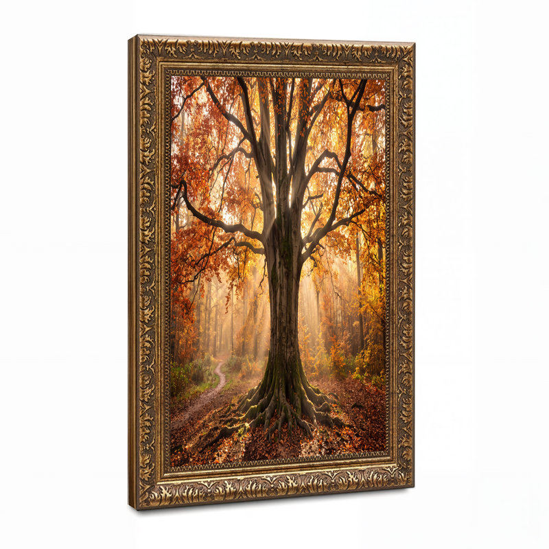 «Tree with Exposed Roots in Golden Autumn Forest», art mural, H 24 po x l 36 po