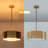 3 Light Unique/Statement Chandelier