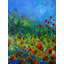 Red Poppies Print by Pol Ledent-65824858-65849053