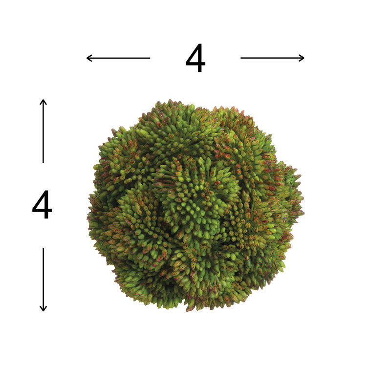 Boules de Sedum décoratives, Vert