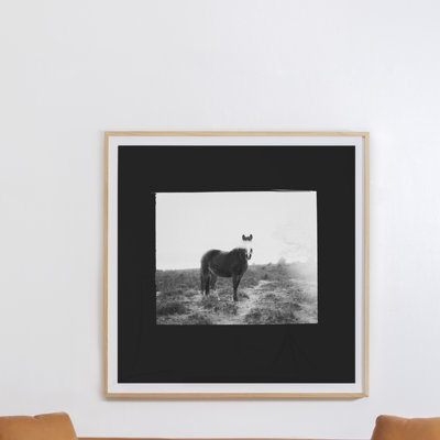 Blank Horse Print by Annie Spratt