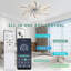 Cyriana 31in. Modern Low Profile Ceiling Fan with Lights, 6-Speed Reversible Smart Ceiling Fan