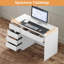 Raedene Computer Table