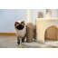 Petit arbre à chat pour chat d'intérieur, tour de chat moyenne avec jouet pour chat interactif, condo pour chat 32,7 po avec brosse auto-toilettée, griffoir naturel pour chat, boules pendantes pour petits et moyens chats-1401824468