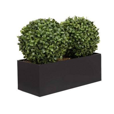 50.8cm Plant