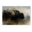 Vidur «Abstract American Bison», reproduction d'impression sur toile tendue-22068399