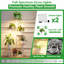 Support pour plantes d'intérieur en métal de 40,5 po de hauteur avec lampe de croissance (ensemble de 2)-236170677