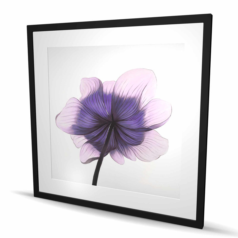 Magnifique fleur d'anémone mauve, impression encadrée, Noir