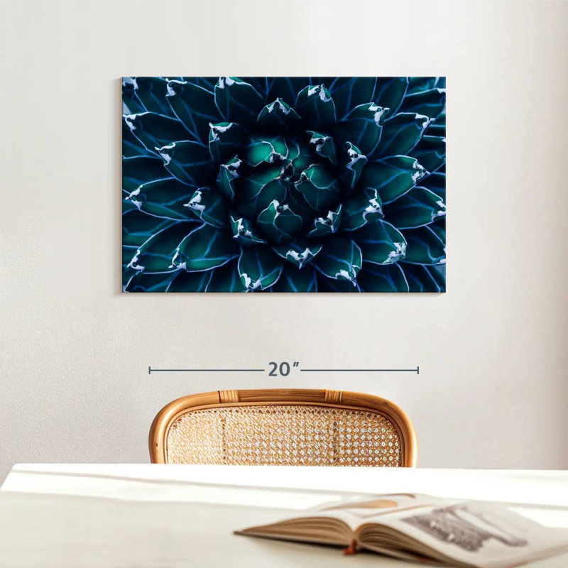Agave Harnek, H 16 po x l 24 po