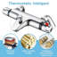 2 Handle Bath Filler