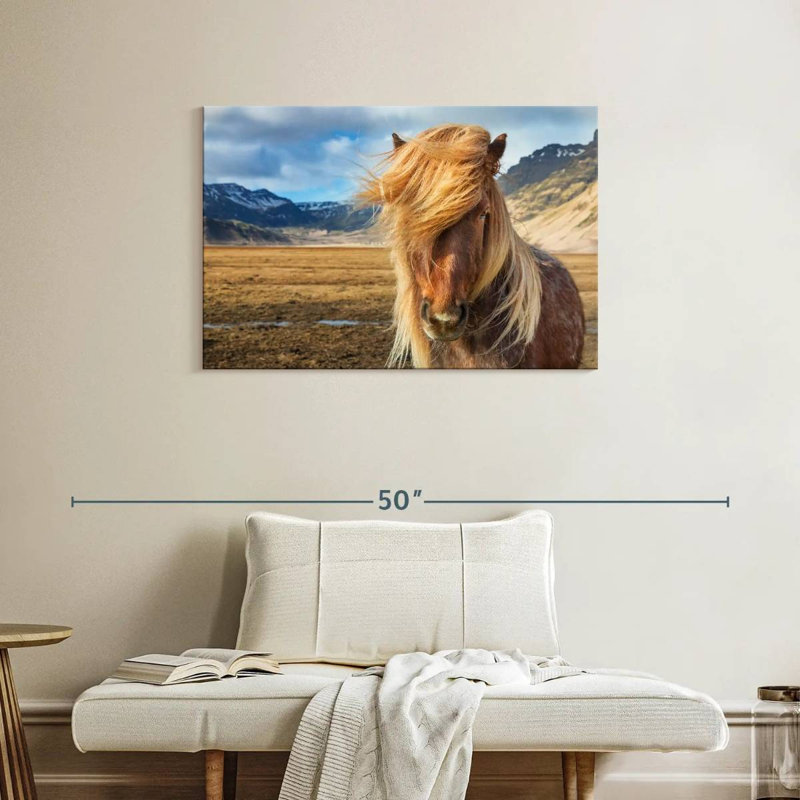 Brampt superbe cheval Islandais, H 24 po x l 36 po