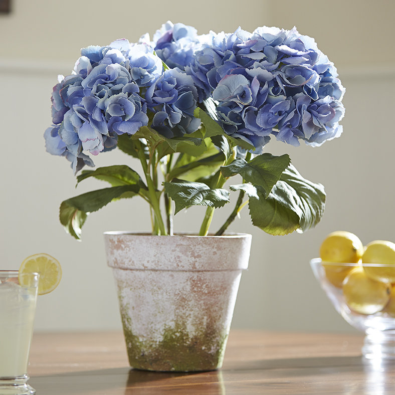 Potted Faux Hydrangea Floral Arrangement, Blue, 17" H x 15" W 