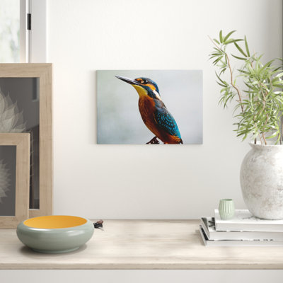 Kingfisher Bird Photographic - Wrapped Canvas