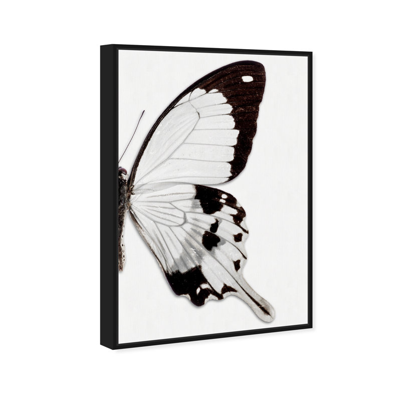 Monochrome Butterfly " Monochrome Butterfly II ", Black Framed Canvas, 36" H x 24" W