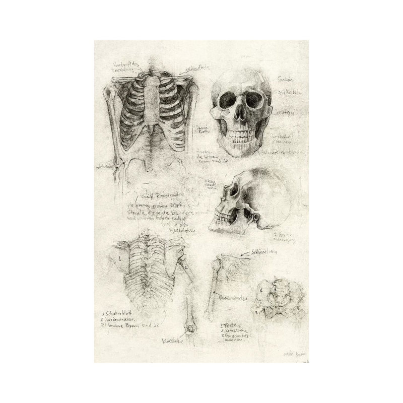 Skeleton by Mike Koubou - Print on Canvas, Wrapped Canvas, 66.04cm H x 45.72cm W x 1.91cm D