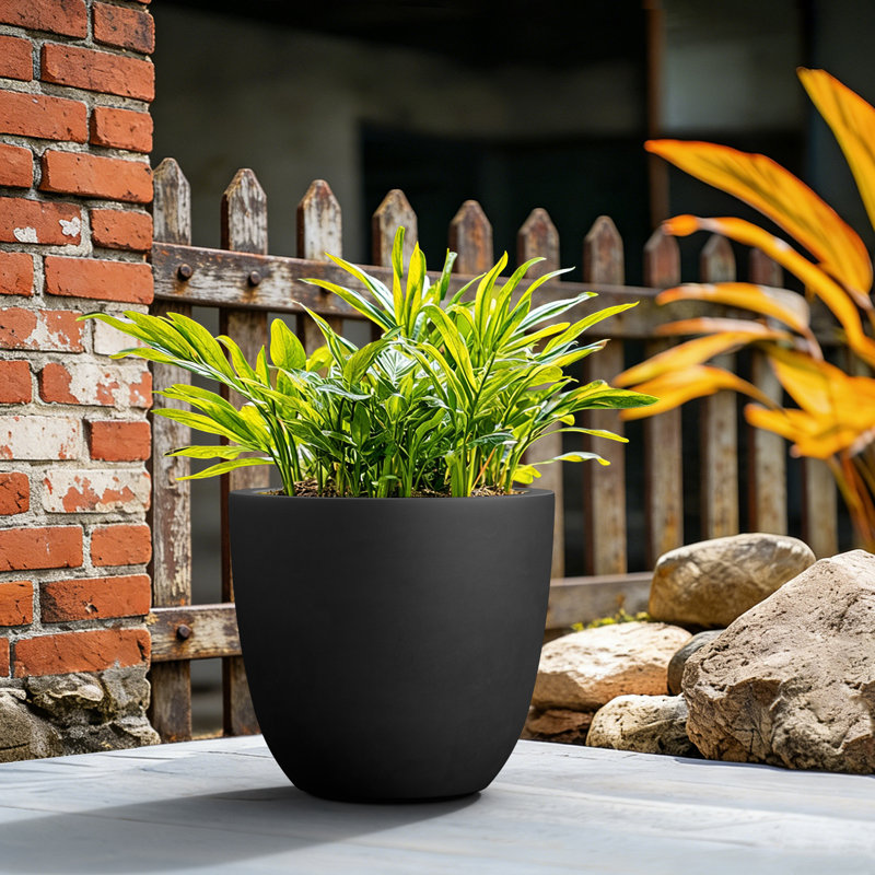 9.5" W x 8.5" H Small Dark Charcoal Concrete Tall Round Planter / Pot with Drainage Hole for Indoor & Outdoor