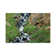 Porphyry Creek Near Silverton, Colorado I by Tim Fitzharris - Gallery-Wrapped Canvas Giclée on Canvas