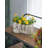 Cahill Statue Planter