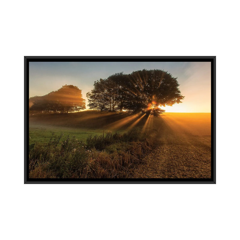 Sunbeams by Leif Londal - Floater Frame Print on Canvas