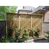 Porpora 6 ft. H x 3 ft. W Porpora Wood Privacy Screen | Wayfair