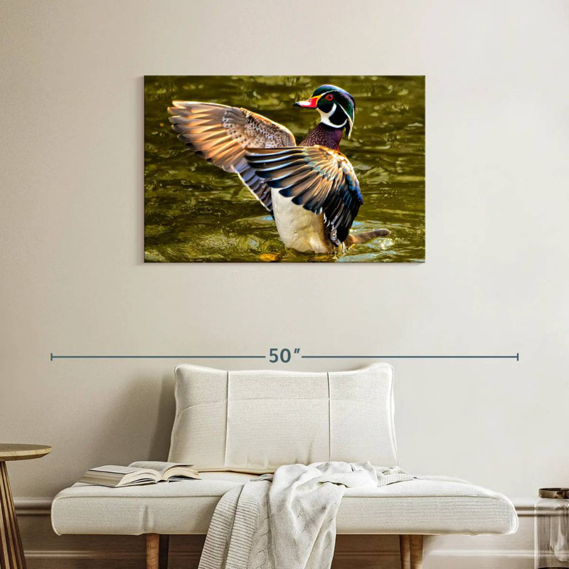 Brampt Duck Flapping Wings, 24" H x 36" W