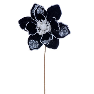 Magnolia perle noire 17 po, fleur de 8 po, 2/sac