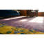 Hand Knotted Wool Area Rug in Purple