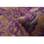 Brun/mauve en Tapis décoratif laine noué à la main de conception unique 3 pi 1 po x 5 pi Lahore New Age Lahore
