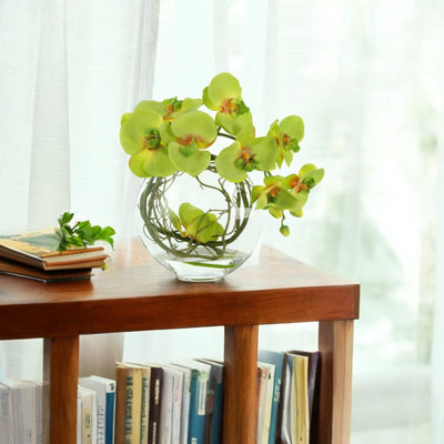 Orchid Arrangement in Glass Vase