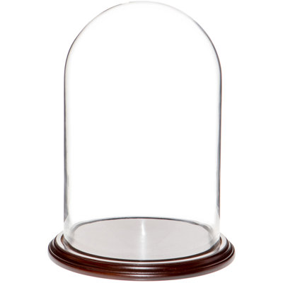 Vucciria Glass Display Dome Cloche