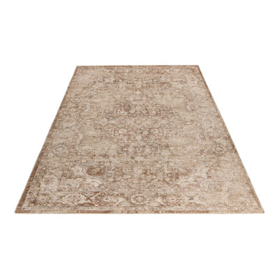 Everest Oriental Area Rug