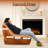 Bean Bag Chair
