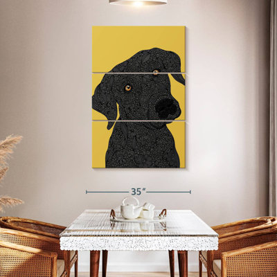 Black Labrador