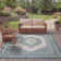 Amedee Performance Oriental Indoor/Outdoor Area Rug