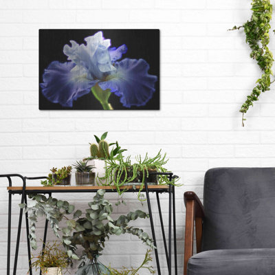 " Violet Blaze " by Luxe Metal Portfolio