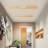  1-Light LED Dimmable Flush Mount Ceiling Light for Hallway