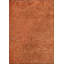 Sarang Rectangle Floral Cotton and Viscose Indoor / Outdoor Area Rug-1033861205