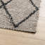 Lizette 60cm X 110cm Area Rug-2036090499