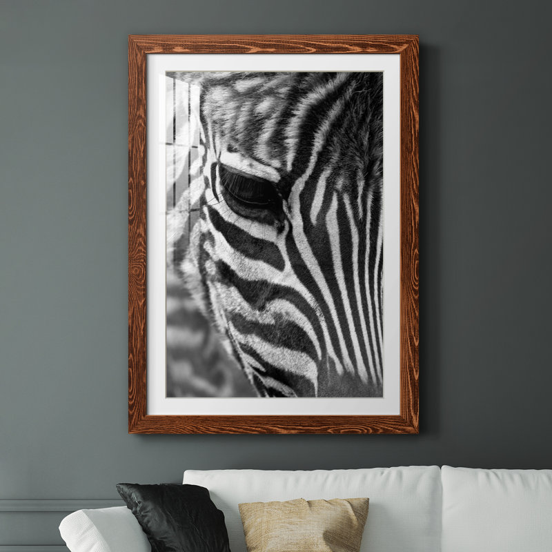 Zebra Colt - Photographie avec cadre photo, Cadre en érable, H 31 po x l 44 po x P 1 po