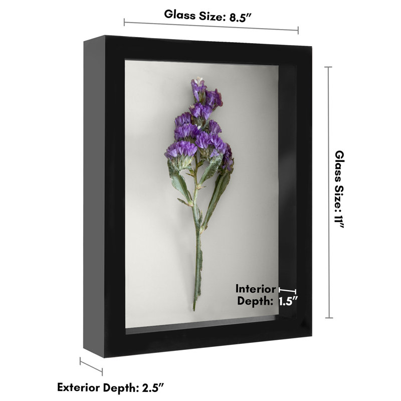 Cadre Delboxillo Shadowbox de 1,5 po de profondeur pour objets avec façade en verre, Noir, L 8,5 po x H 11 po