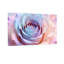 Plantes et fleurs, reproduction de pétales de rose pastel-408242743-408242745-408242744