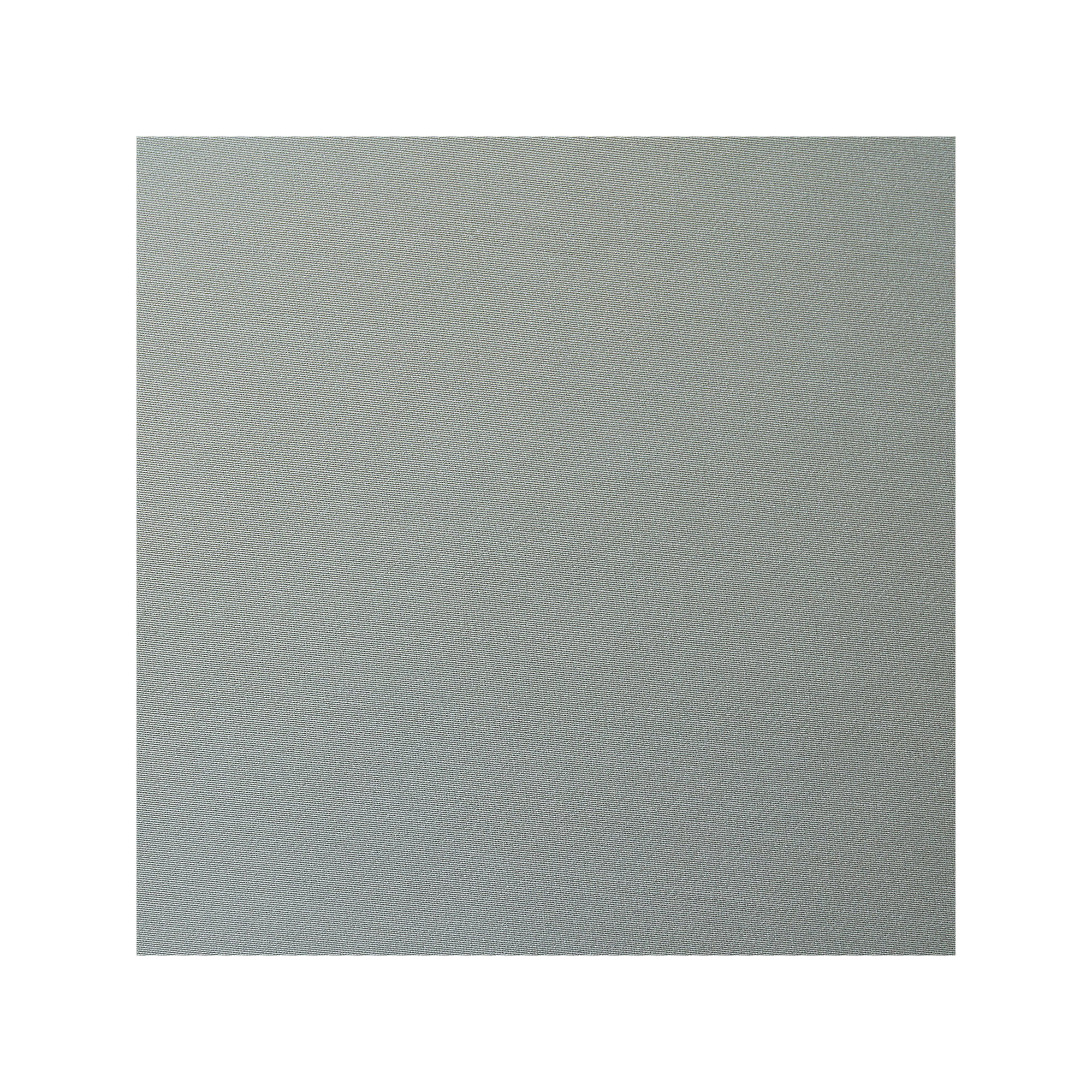 Eucalyptus Silky Soft Modern Contemporary 27x27 inch Euro Sham, Sage