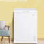 Brayden Studio 0.143m³ L Mini Fridge